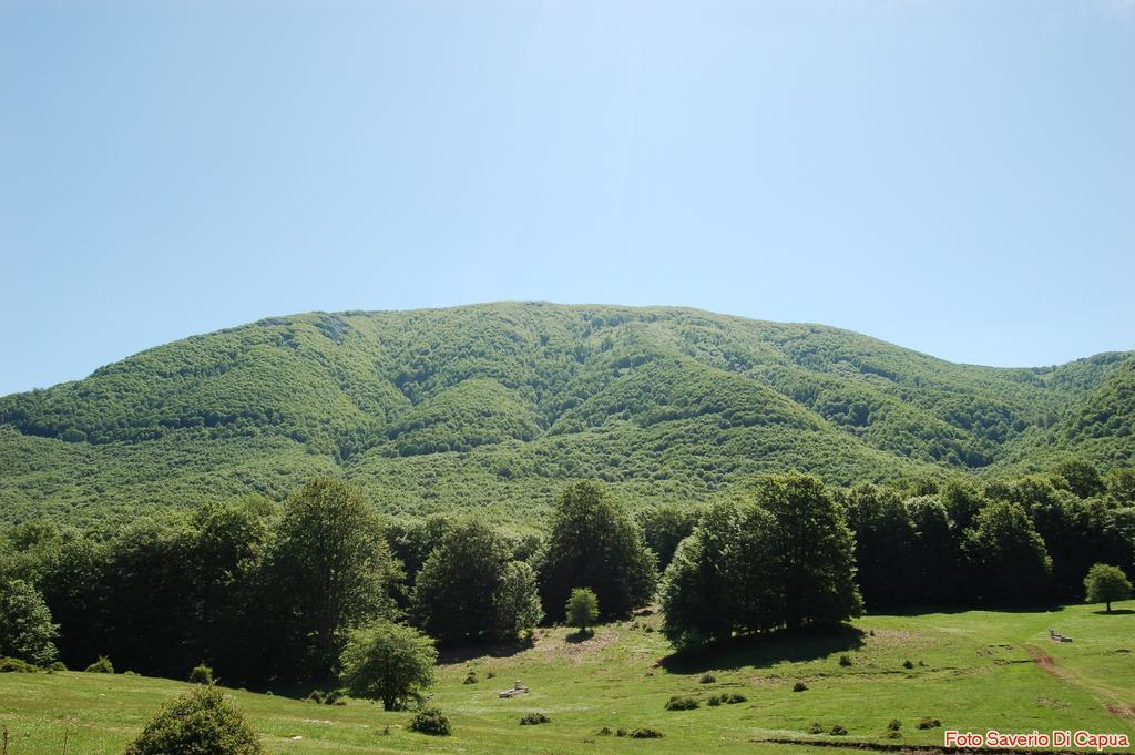 مونتيلا Country House Il Papavero المظهر الخارجي الصورة